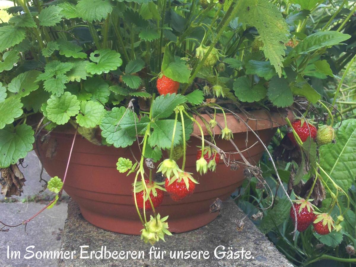 Ferienwohnung Am Ellerbach Hessisch Oldendorf Exterior foto